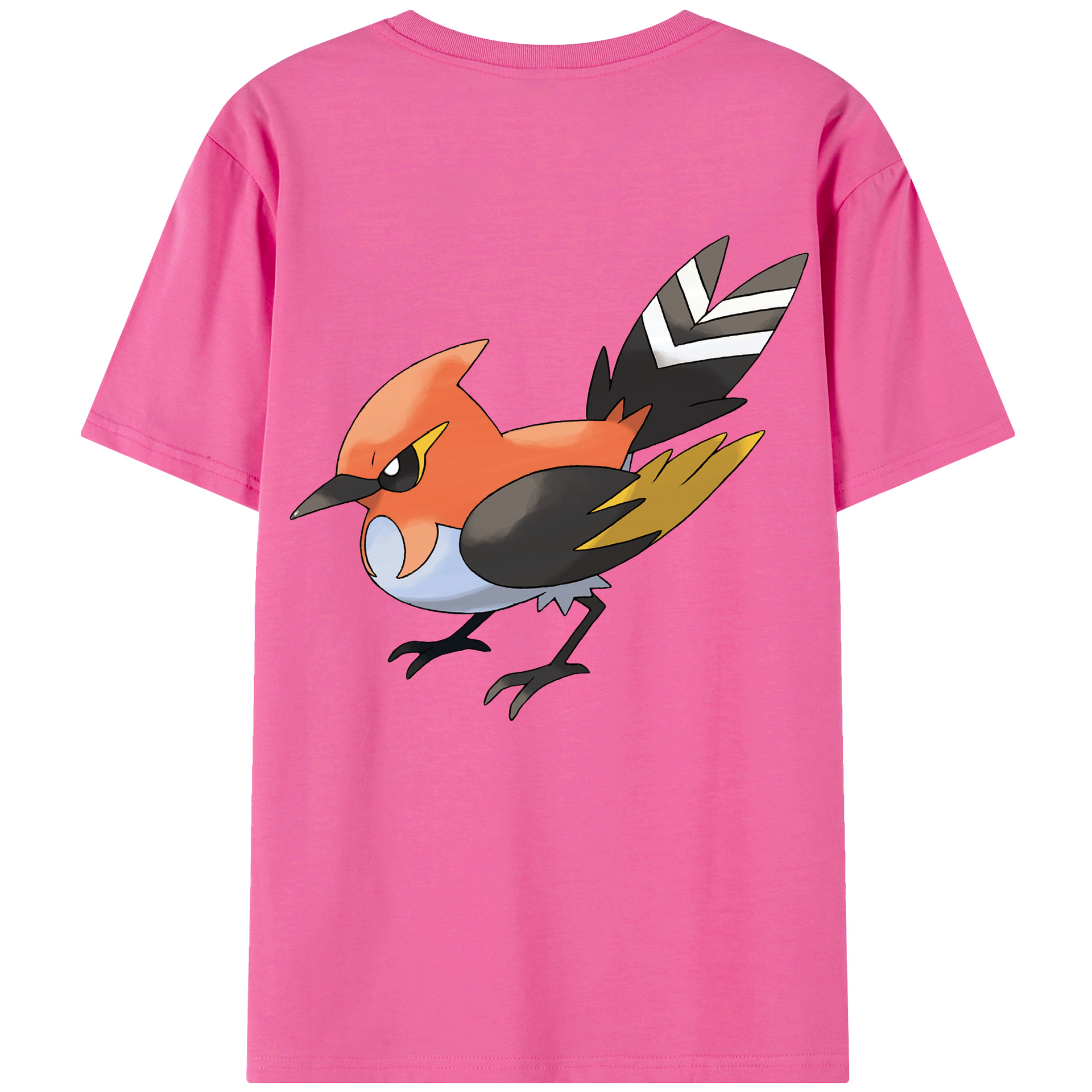 （画像用） ポケットモンスター Pokémon レディース半袖Tシャツ(バックプリント)